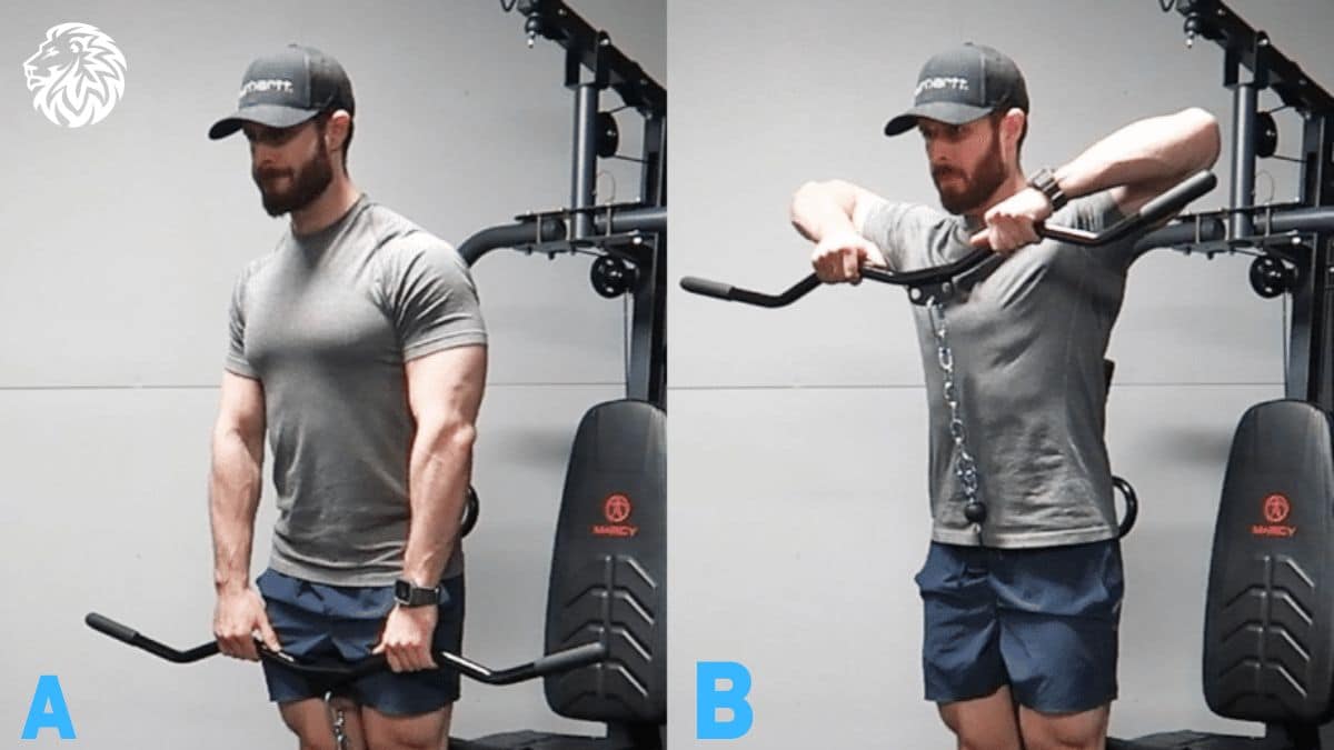 What Shoulder Exercises Hit All 3 Heads? - Angry Lion Fitness
