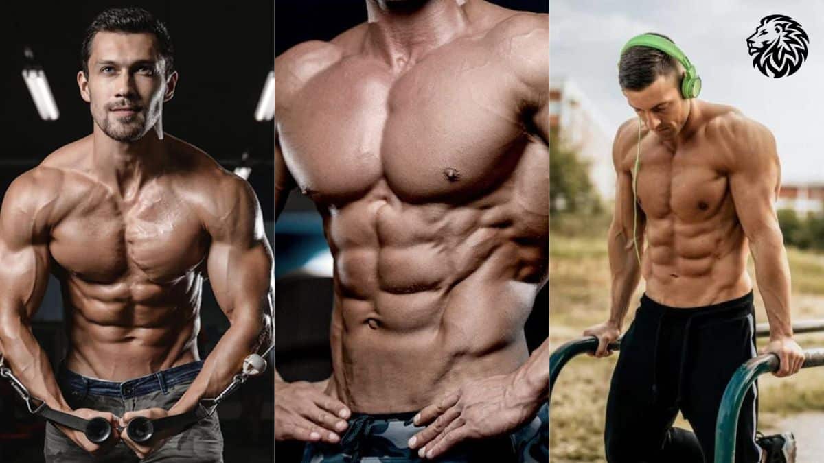 The Top 7 Chest Exercises for Strength and Size Angry Lion Fitness