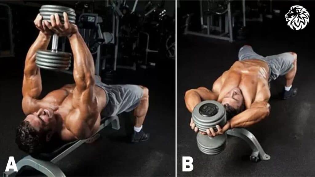 Dumbbell Pullover