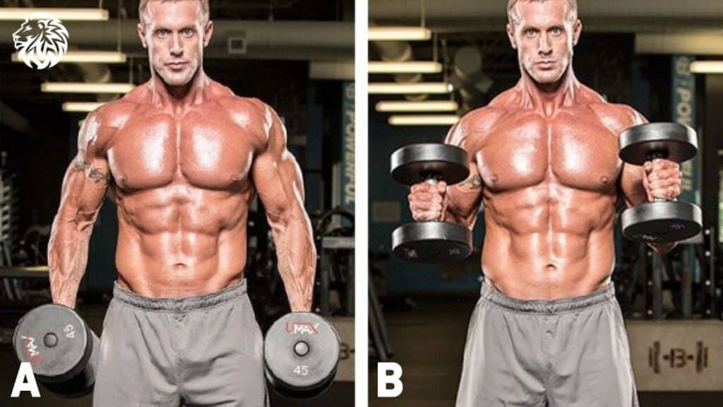 Hammer Curl