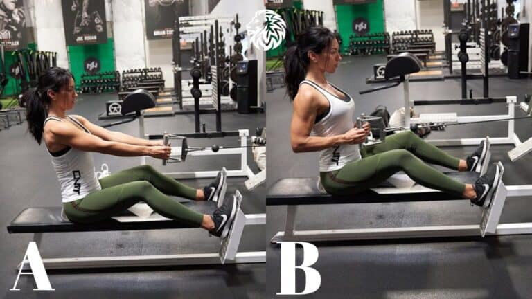 Seated Cable Row