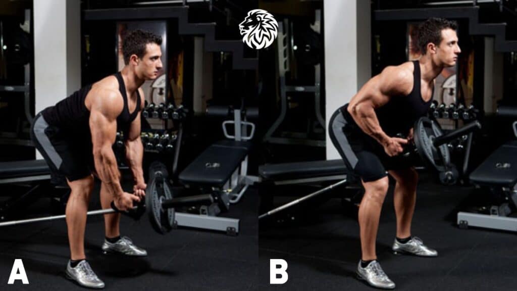 The Best Exercises For A Strong Back Angry Lion Fitness The Best Exercises For A Strong Back Angry Lion Fitness