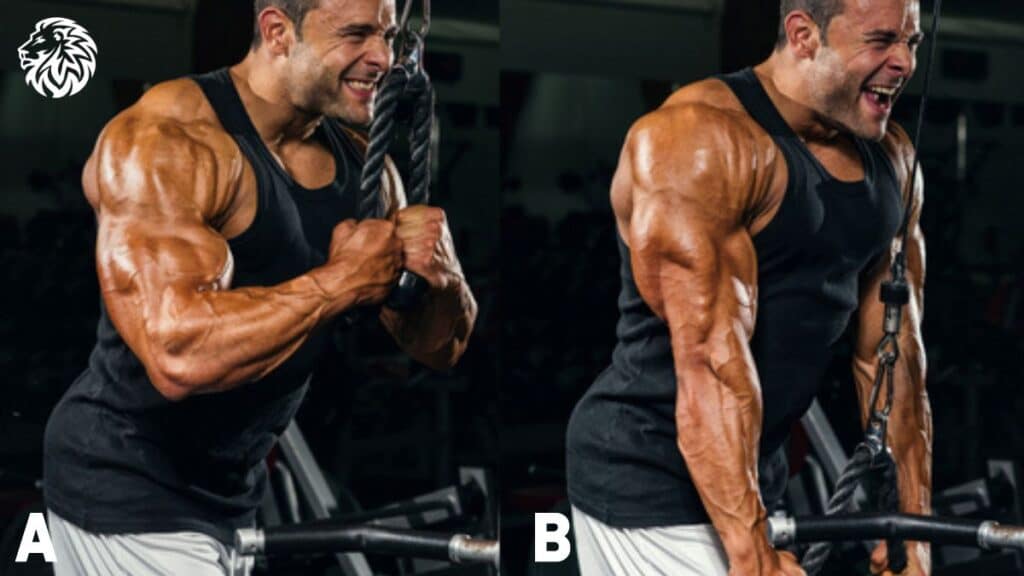 Triceps Pushdowns