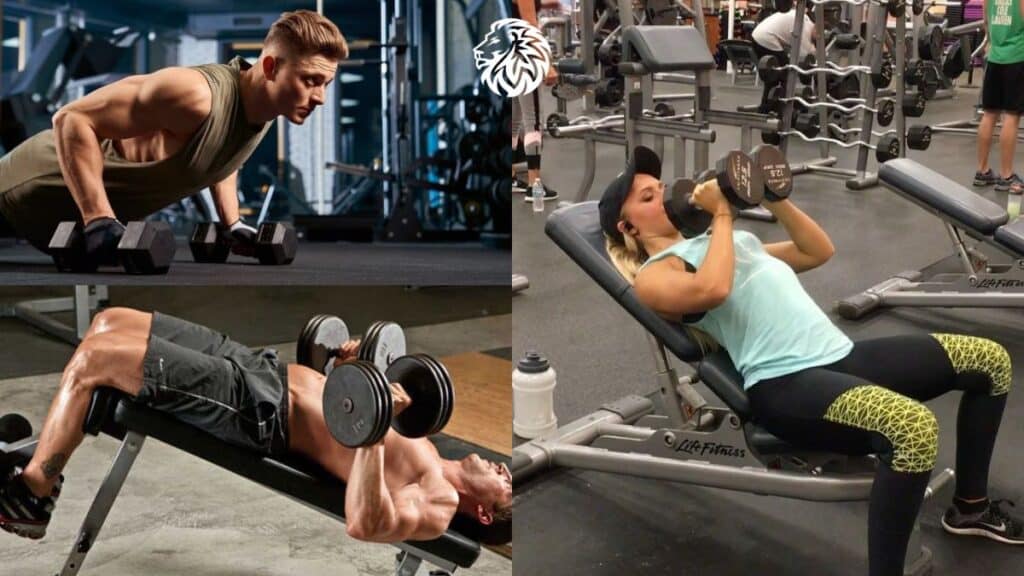 The 8 Best Dumbbell Chest Exercises