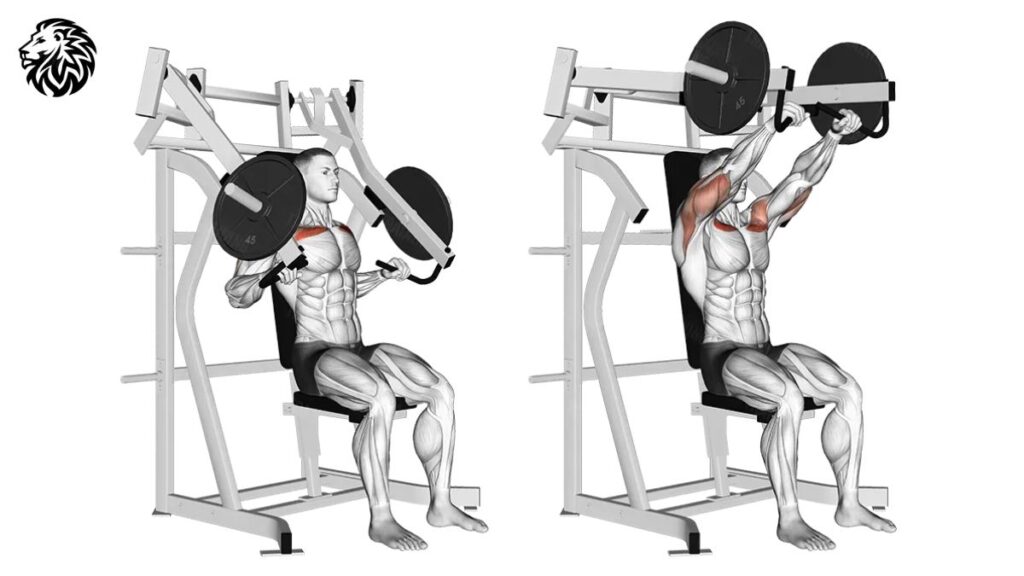 Chest Press Machine