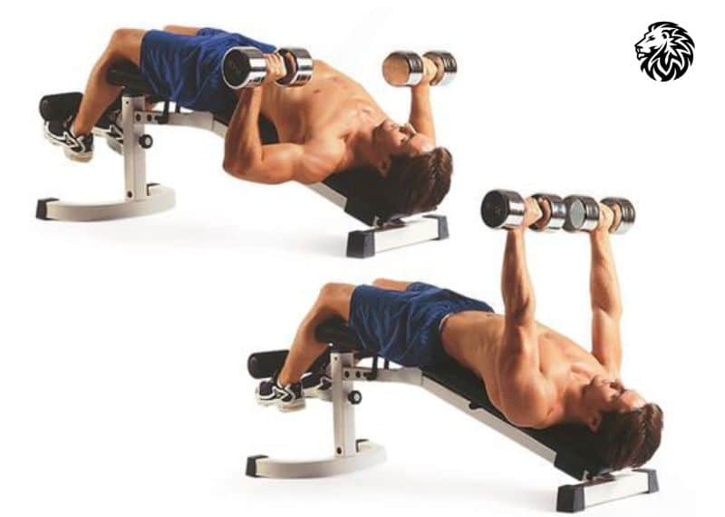 Decline Dumbbell Press