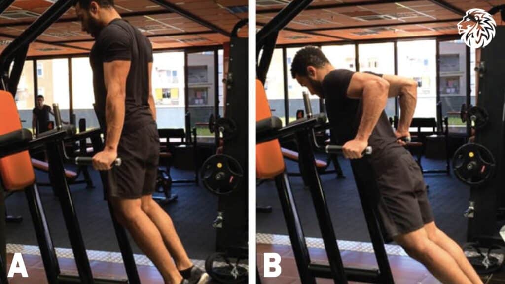 Triceps Dips