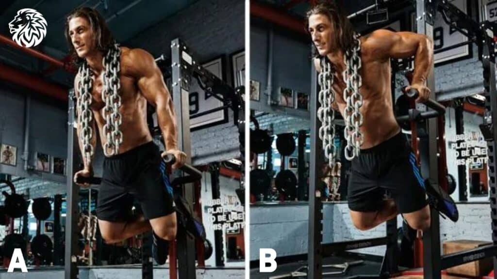 Dip (Chest Variation)