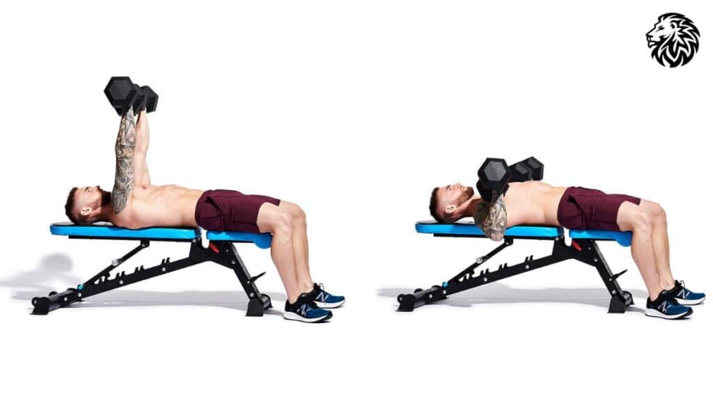 Dumbbell Bench Press