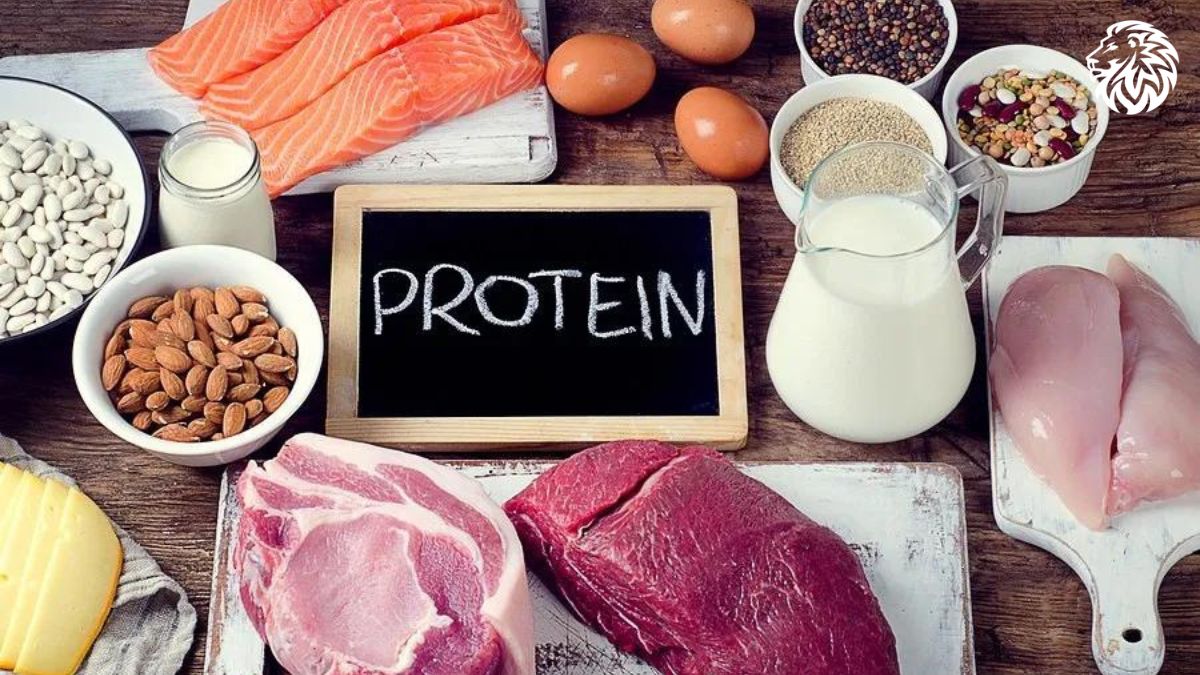 What is a High Protein Diet? - Angry Lion Fitness