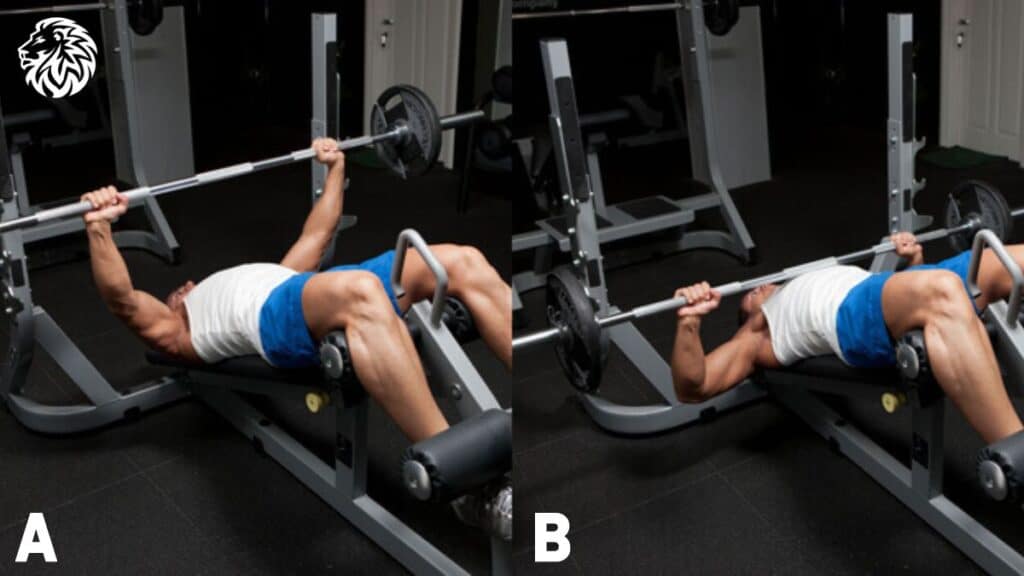 Decline Bench Press