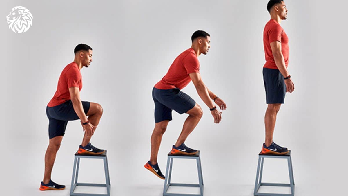 How To Do Step Ups Angry Lion Fitness