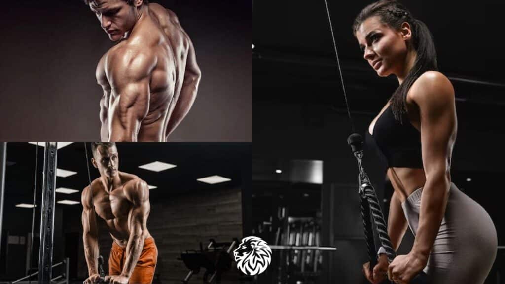 Triceps Exercises