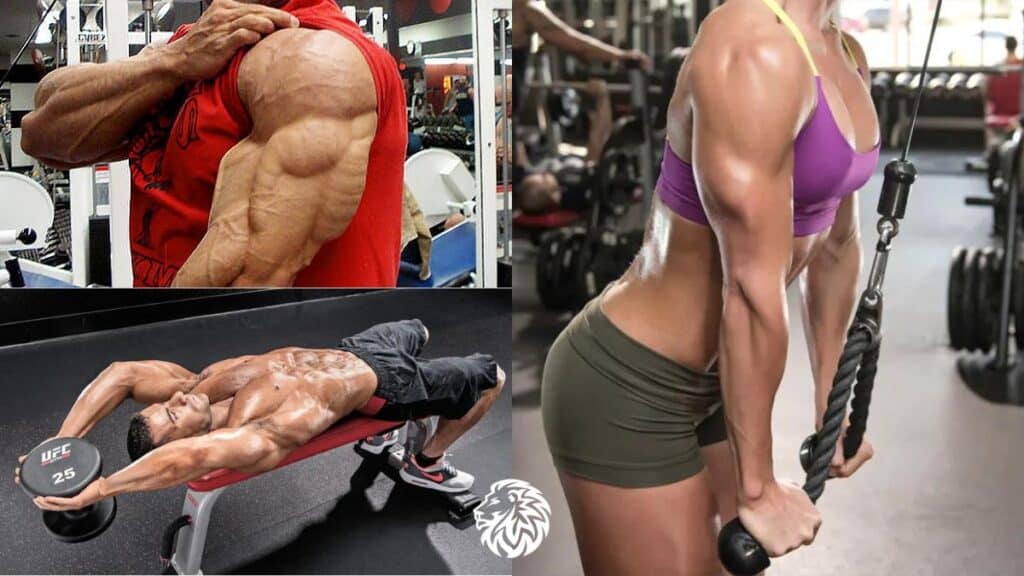Triceps Exercises
