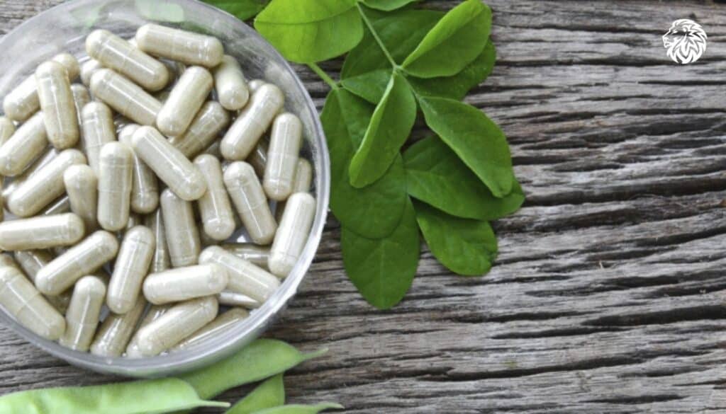 Garcinia Cambogia for Weight Loss