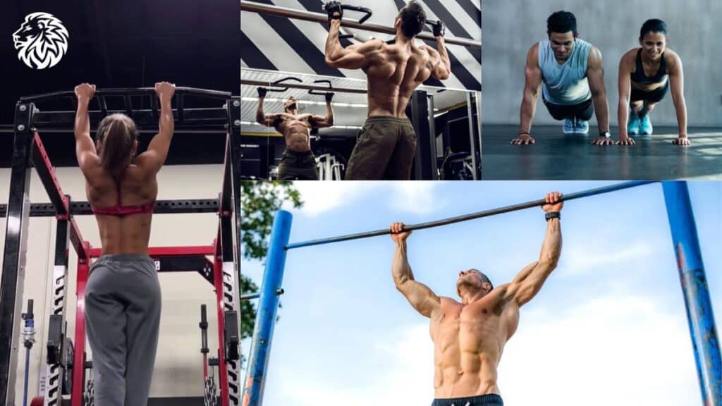 Push-Ups and Pull-Ups