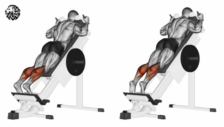 Hack Squat Calf Raise