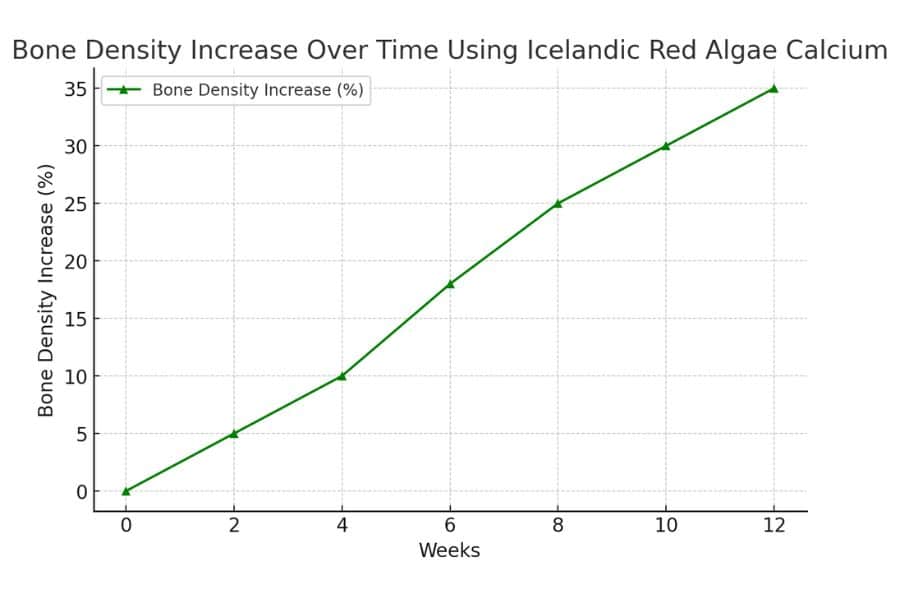 Bone Density Increase Over Time