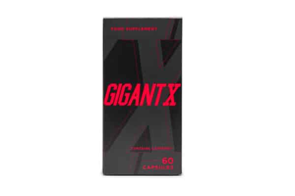 GigantX - Image 7