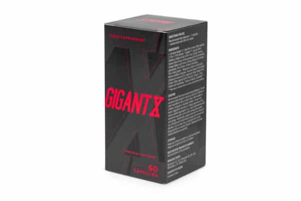 GigantX - Image 6
