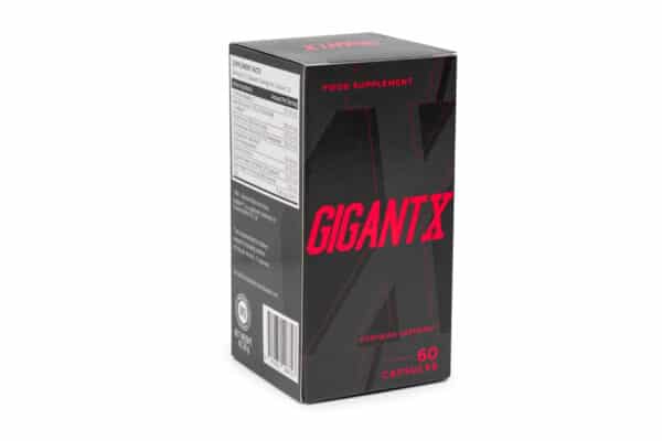 GigantX - Image 5