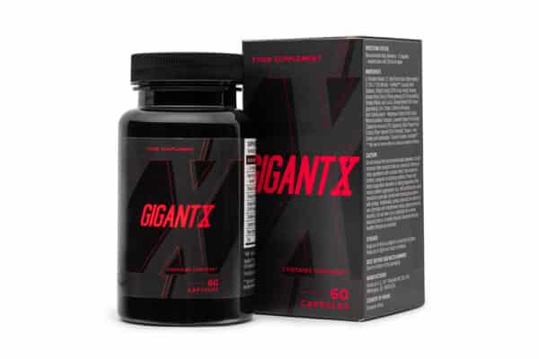 GigantX - Image 3