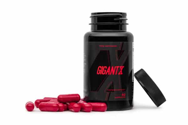 GigantX - Image 2