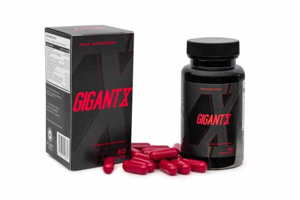 GigantX - Image 4