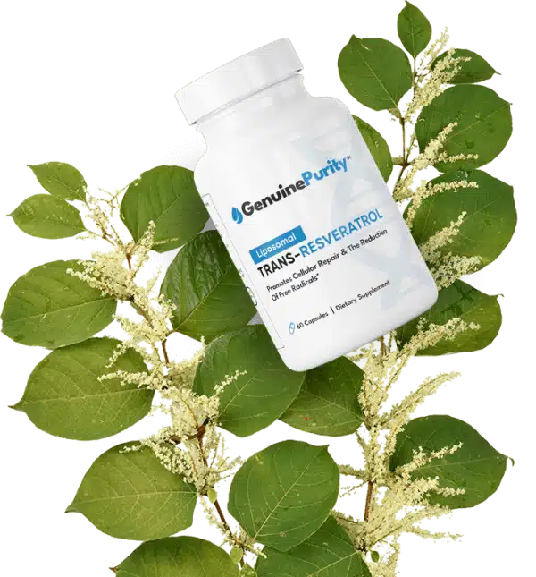 GenuinePurity Trans-Resveratrol - Image 2