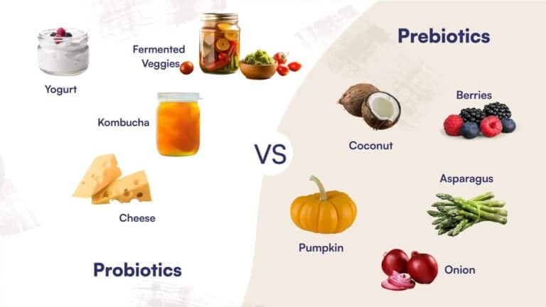 Prebiotic vs Probiotic