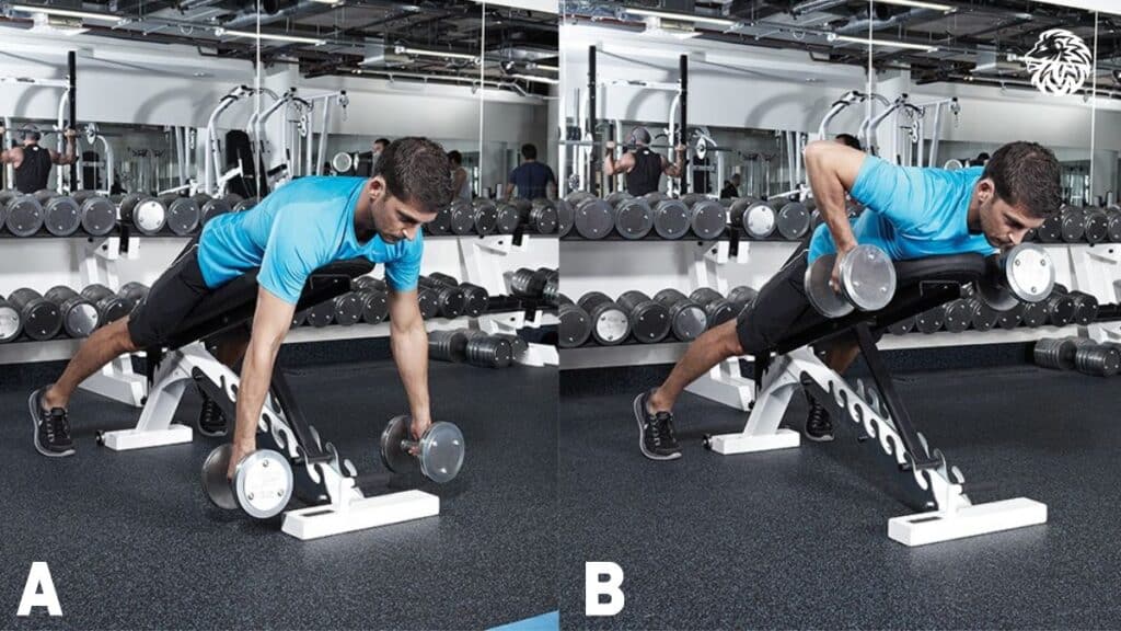 AngryLionFitness.com - Incline Dumbbell Row