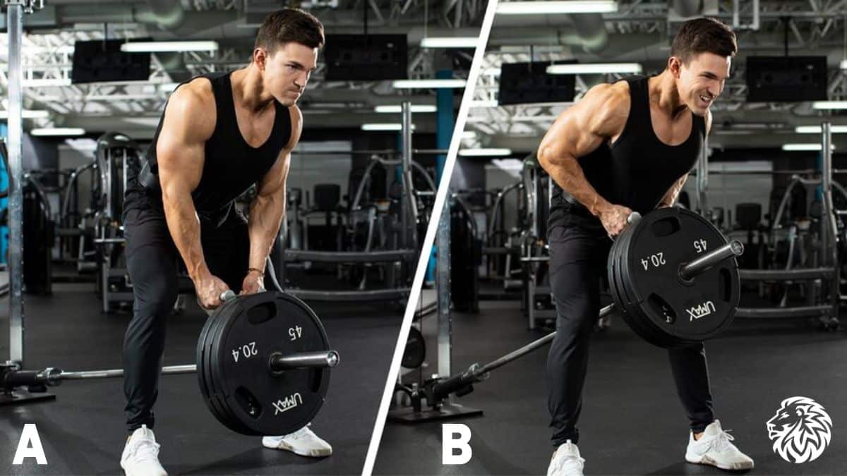 AngryLionFitness.com - T-Bar Row