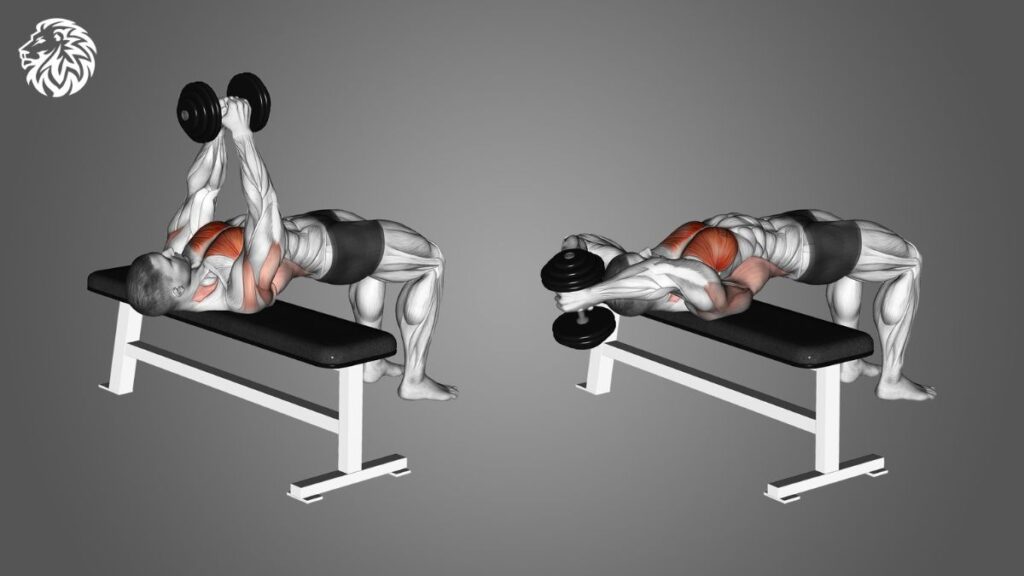 AngryLionFitness.com - Dumbbell Pullover - 01