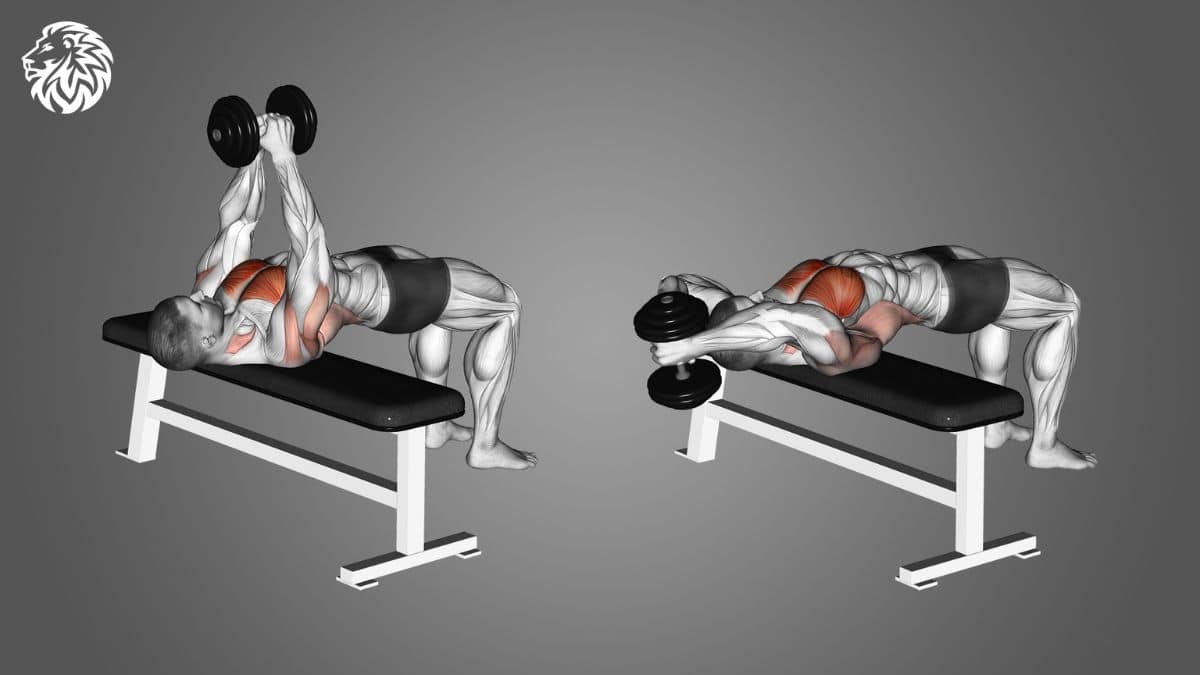 AngryLionFitness.com - Dumbbell Pullover - 01