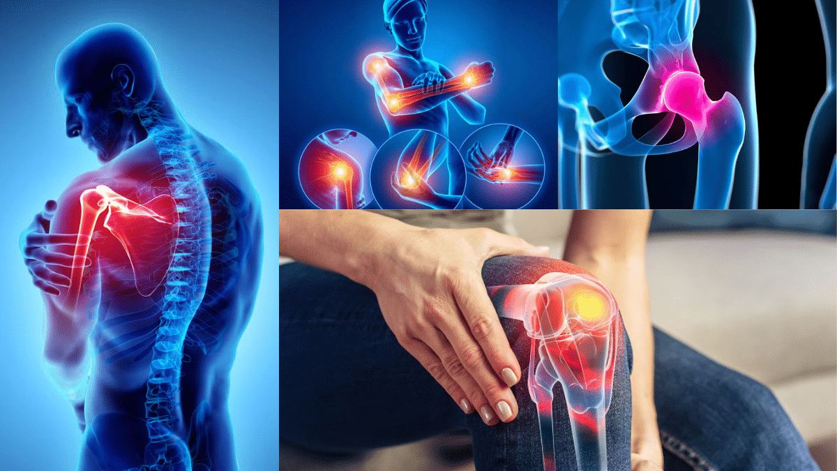 The Best Joint Health Supplements