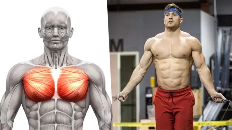 How to Build a Strong Chest: Simple, Effective, and Proven Techniques