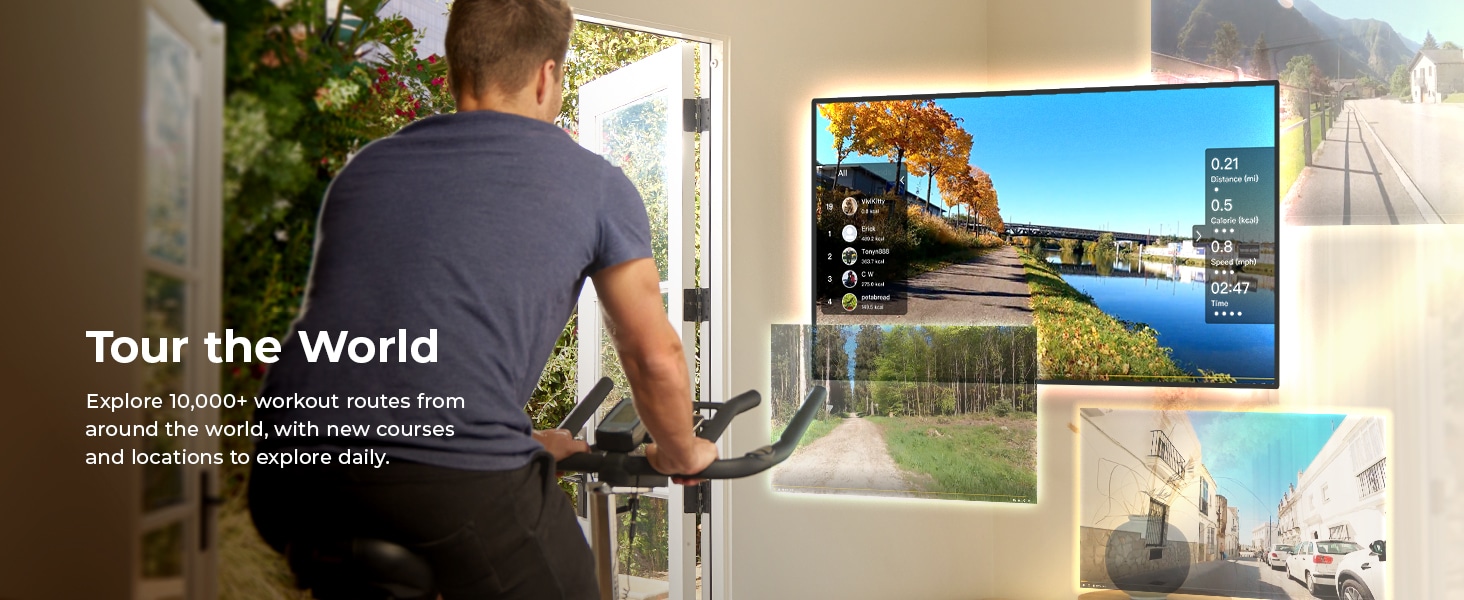 Sunny Health & Fitness Smart Compact Magnetic Rowing Machine