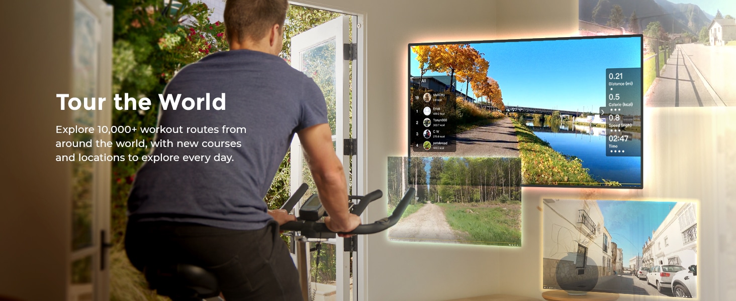 Sunny Health & Fitness Smart Compact Rowing Machine