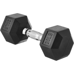 20 Pound Rubber Encased Hex Dumbbell