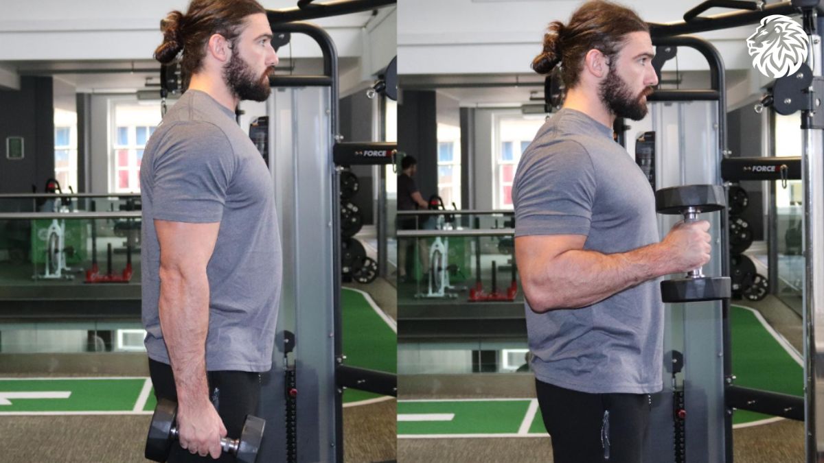 AngryLionFitness.com - Hammer Curl - 04