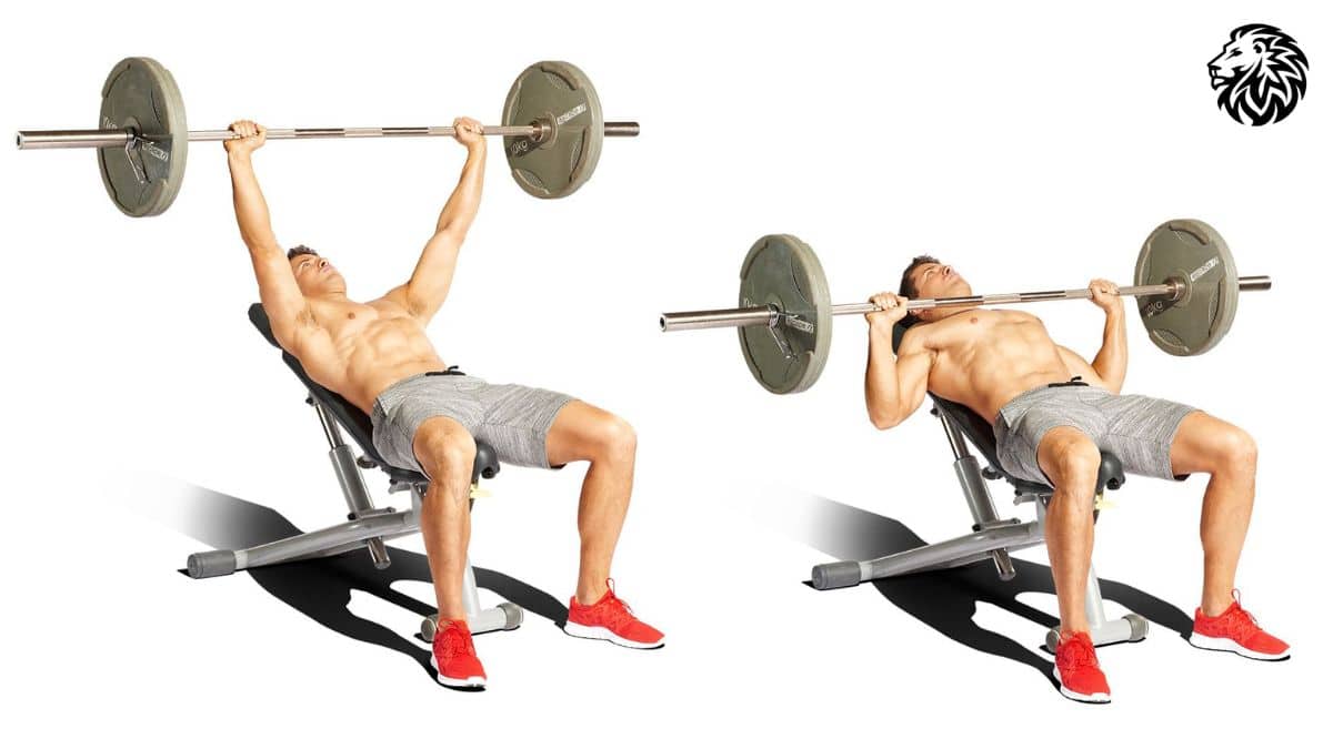 AngryLionFitness.com - Incline Bench Press - 03