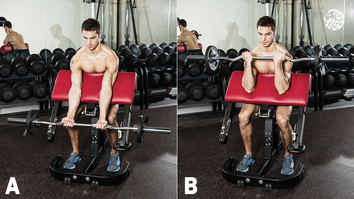 AngryLionFitness.com - Preacher Curl