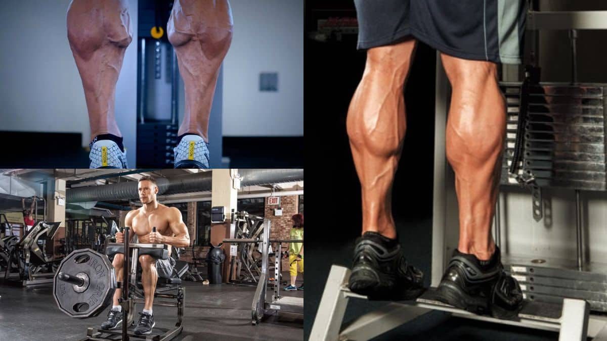 4 Best Exercises for Building Calf Muscles