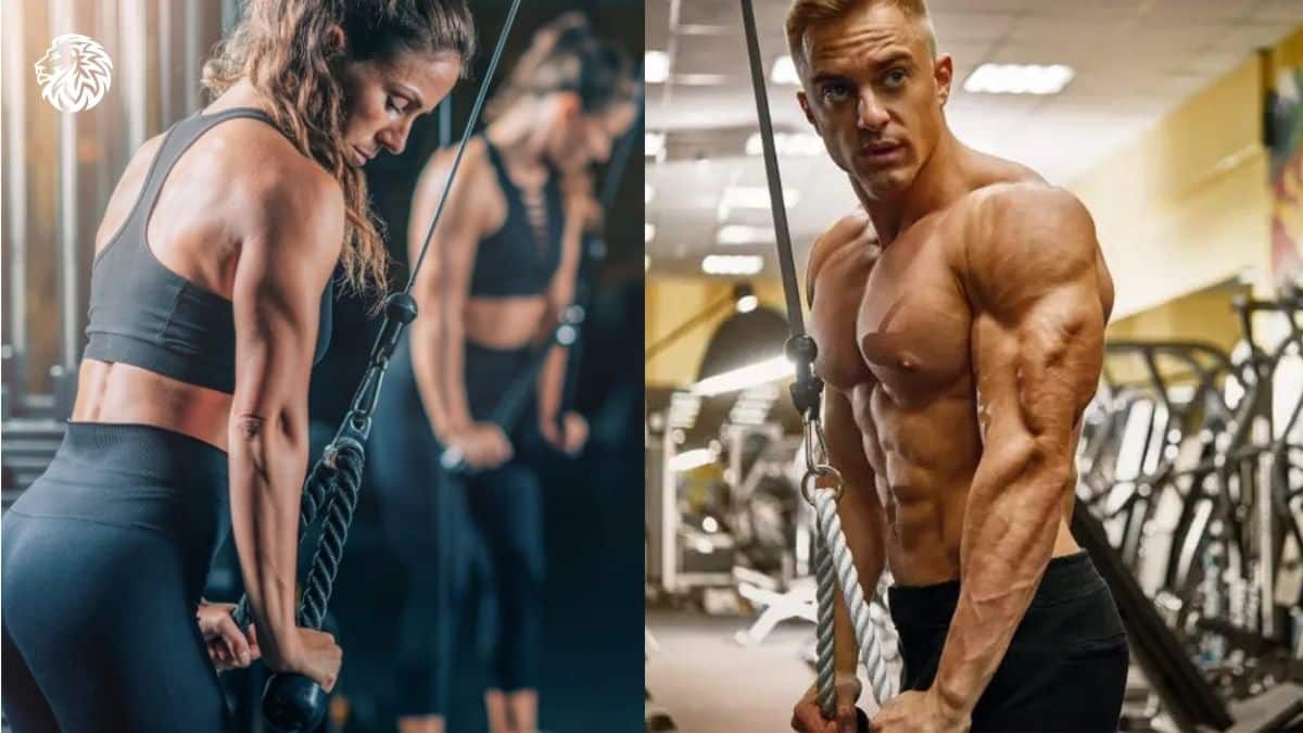 Build Stronger Arms with Seven Essential Tricep Exercises