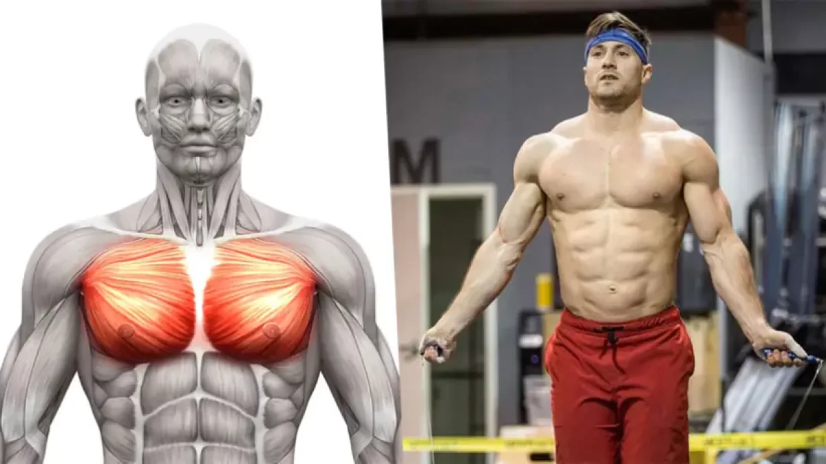 How to Build a Strong Chest: Simple, Effective, and Proven Techniques