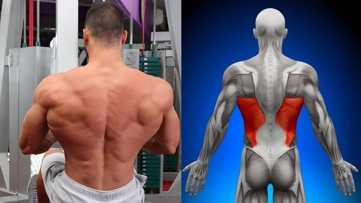 How to Build a V-Shaped Back: The Ultimate Back Workout Guide